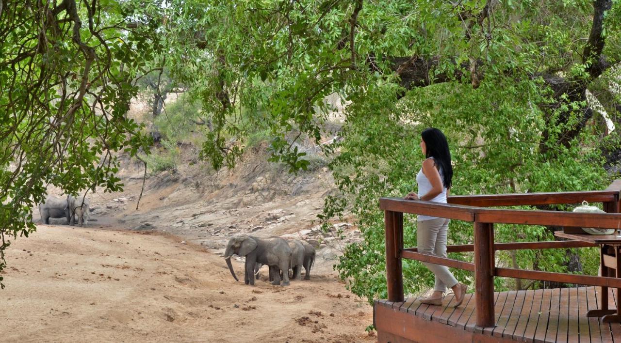 Hamiltons Tented Camp Mluwati Concession Εξωτερικό φωτογραφία