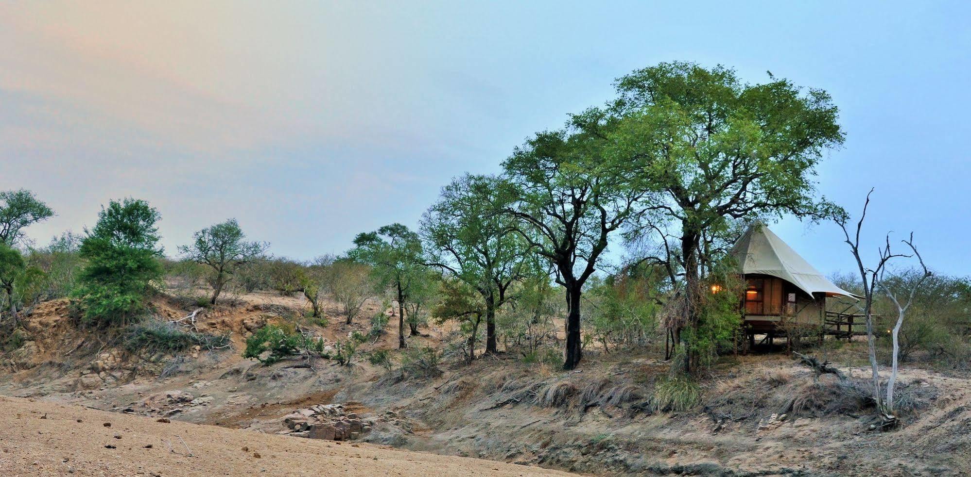 Hamiltons Tented Camp Mluwati Concession Εξωτερικό φωτογραφία